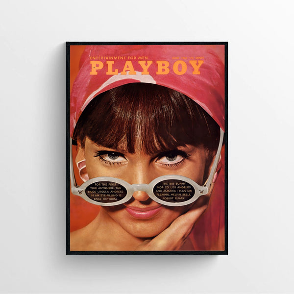 Playboy Magazine Poster