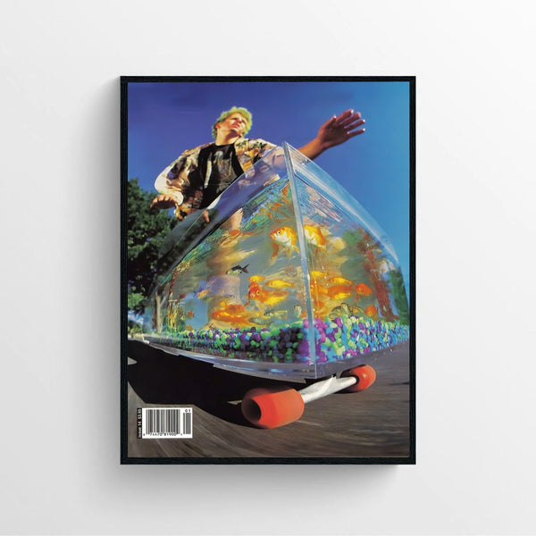 Big Brother Skateboard Poster