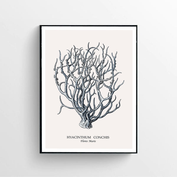 Blue Coral Poster