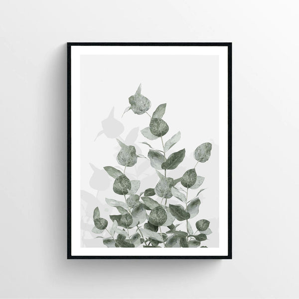 Eucalyptus Wall Canvas print poster