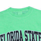 Champion 90's Florida State Crewneck Sweatshirt Medium Green